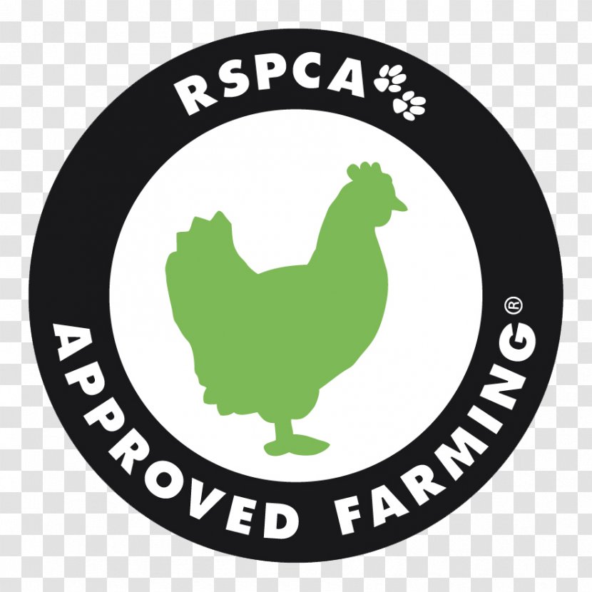 Logo Poultry Chicken Free-range Eggs Food - Grass Transparent PNG