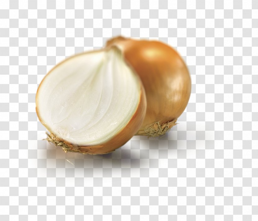 Sofrito Shallot Yellow Onion Food Ingredient - Vegetable Transparent PNG