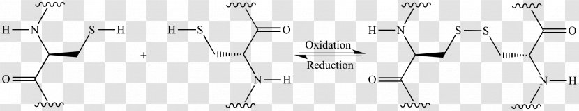 Biuret Protein Peptide Bond Chemical Reaction - Frame - Heart Transparent PNG