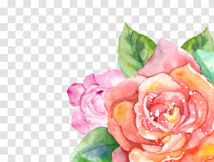 Flower Watercolor Painting Garden Roses Floral Design Transparent - Watercolour Transparent PNG