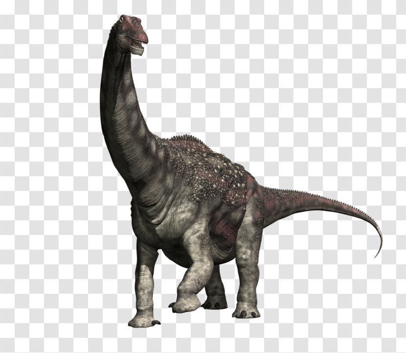 Diamantinasaurus Dinosaur Size Tyrannosaurus Compsognathus Brachiosaurus - Gigantoraptor Transparent PNG