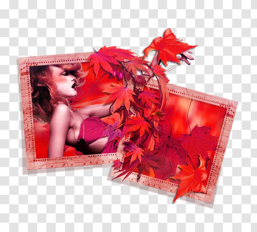 Maple Leaf Picture Frame - Designer Transparent PNG