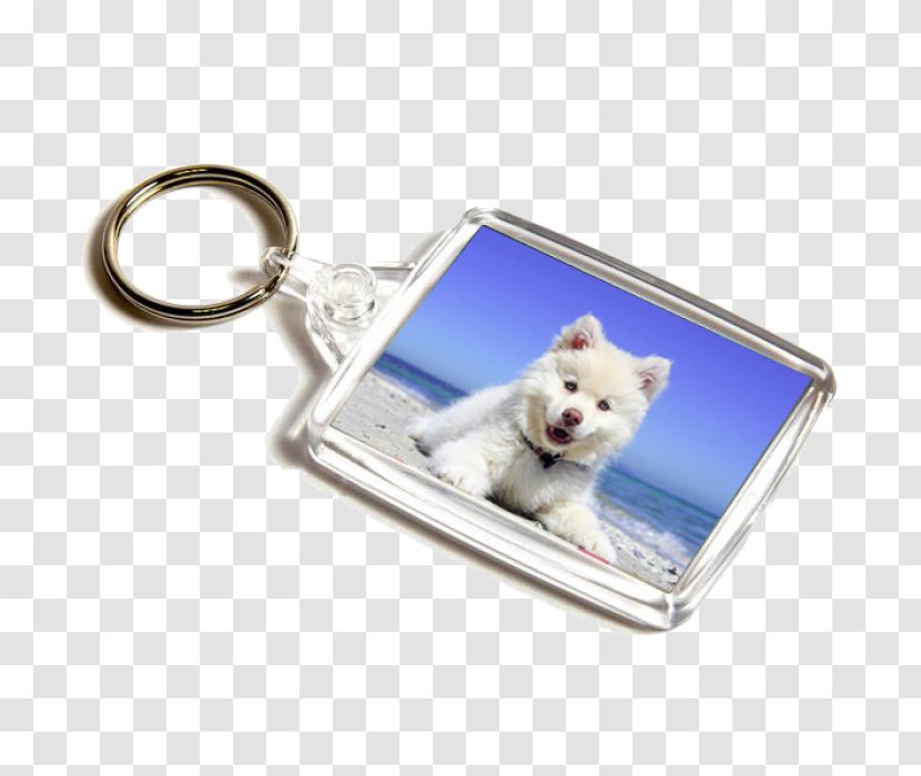 Key Chains Plastic Photograph Image Craft Magnets - British Passport Cover Transparent PNG