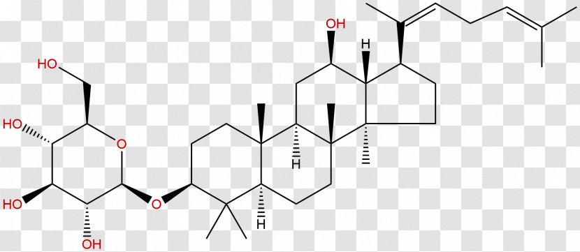 Ginsenoside Ginseng Triterpene Triterpenoid Saponin - Frame - Phytochemicals Transparent PNG