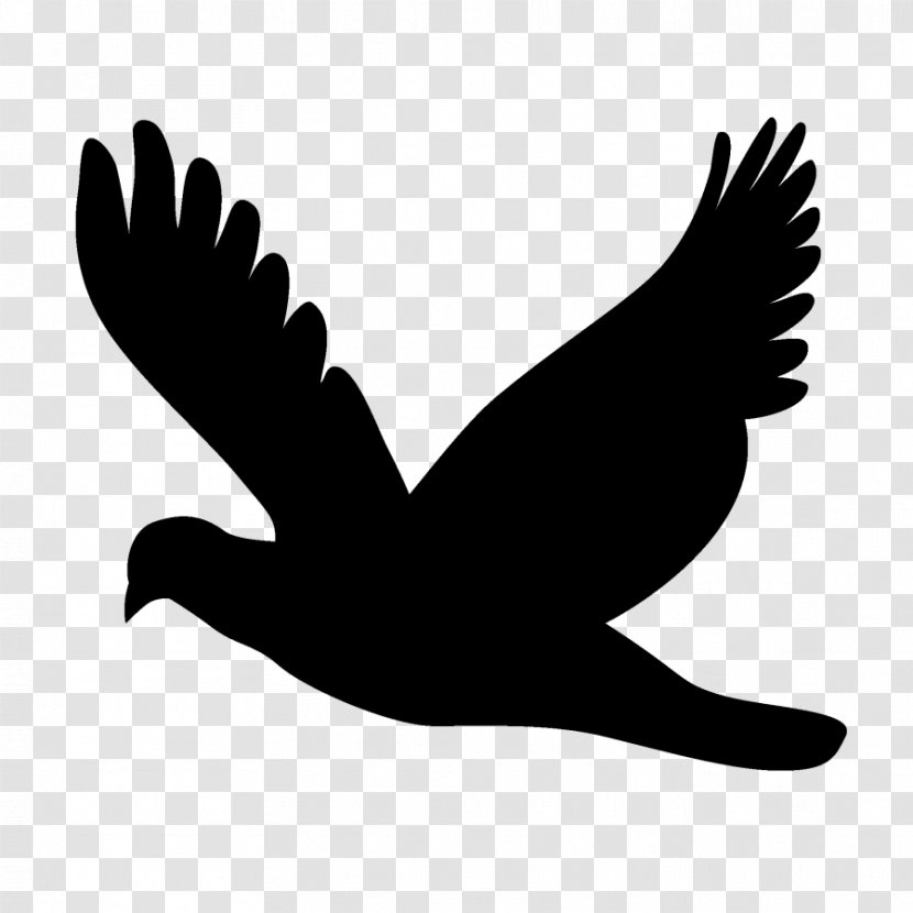 Red Flying Bird Clip Art Stock Photography Royalty-free - Tail - Raven Transparent PNG