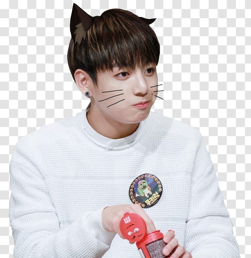 Jungkook BTS K-pop Love Yourself: Her The Most Beautiful Moment In Life: Young Forever - Cartoon - Heart Transparent PNG