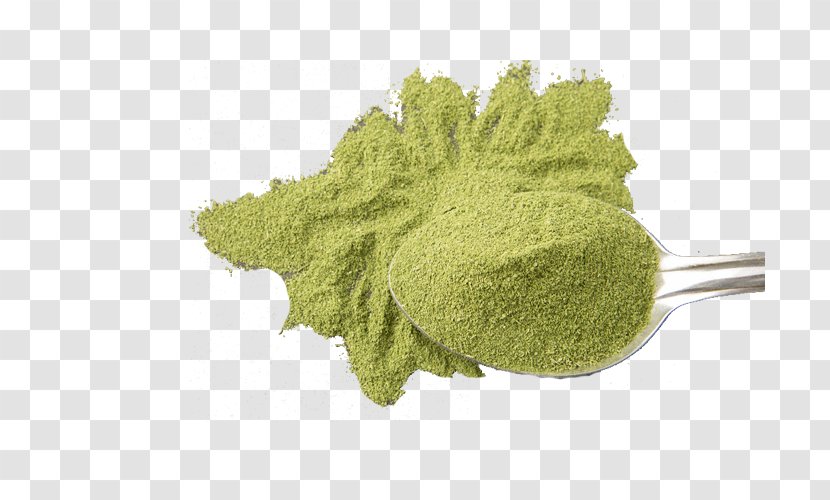 Green Tea Matcha Latte Uji - Powder Transparent PNG