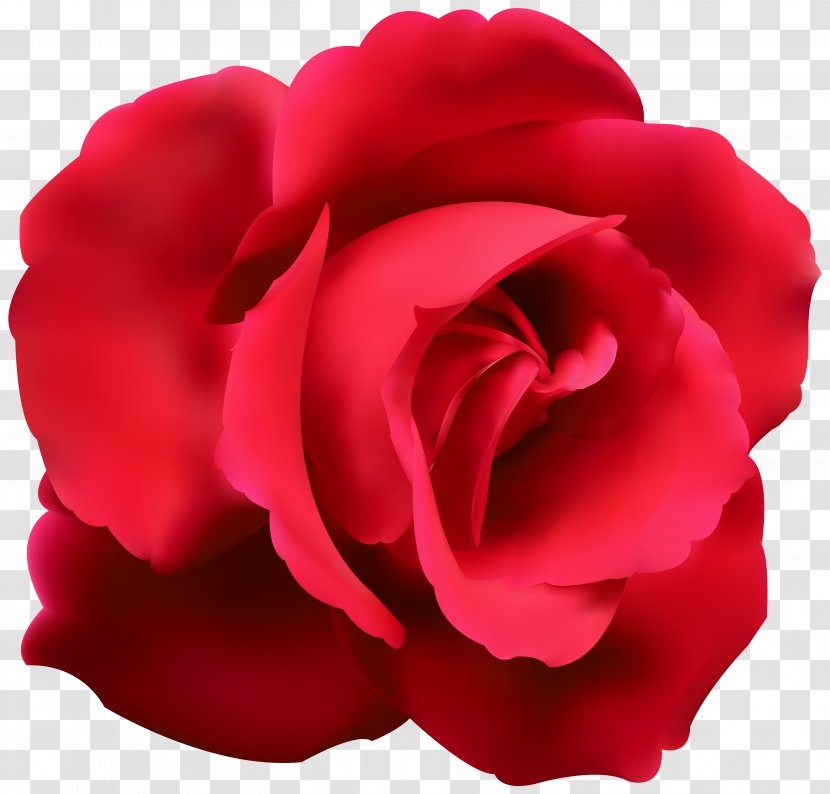 Blue Rose Flower Clip Art - Red Image Transparent PNG