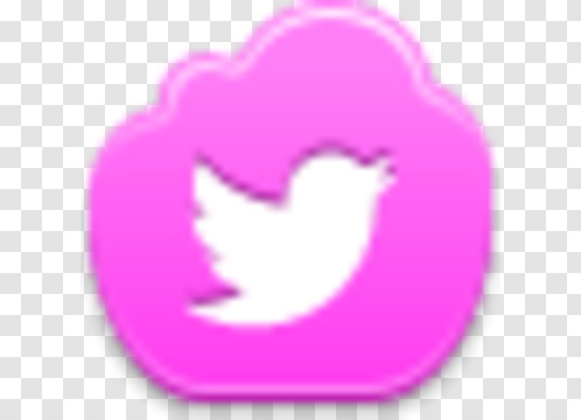Social Media Networking Service - Bird Pink Transparent PNG