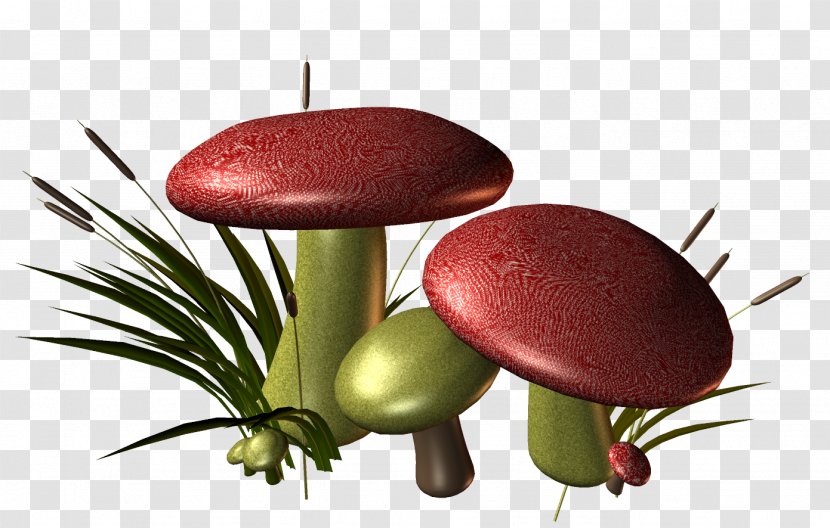 Mushroom Euclidean Vector Red Transparent PNG