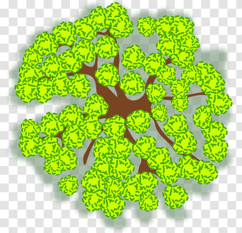 Tree Clip Art - Symbol - Top Transparent PNG