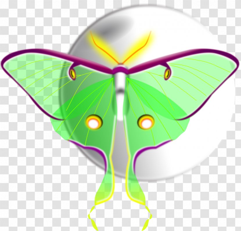 Butterfly Luna Moth Insect Clip Art Transparent PNG
