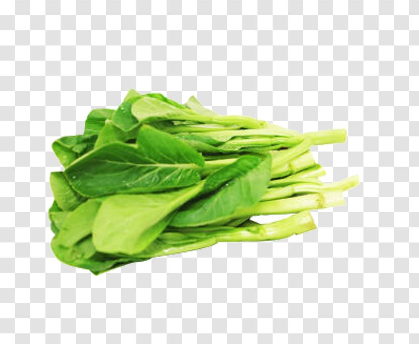 Romaine Lettuce Choy Sum Spring Greens - Variety - Green Cabbage Transparent PNG