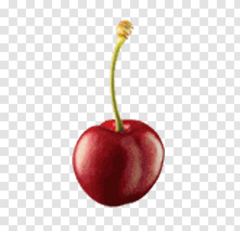 Ice Cream Cherry Gratis - Plant - A Transparent PNG