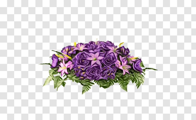 Purple Watercolor Flower - Petal - Violet Family Anthurium Transparent PNG
