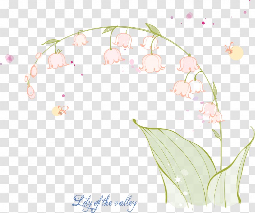 Lily Of The Valley Euclidean Vector - Material - Hand-painted Transparent PNG