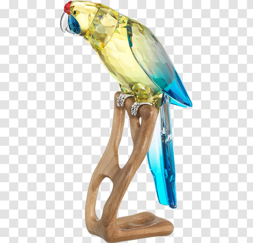 Budgerigar Bird Green Rosella Parrot Macaw - Glass - Aves Transparent PNG