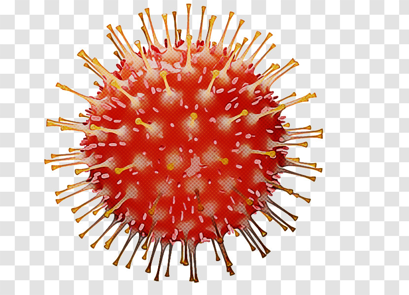 Virus Coronavirus Coronavirus Disease 2019 Infection Severe Acute Respiratory Syndrome Coronavirus 2 Transparent PNG