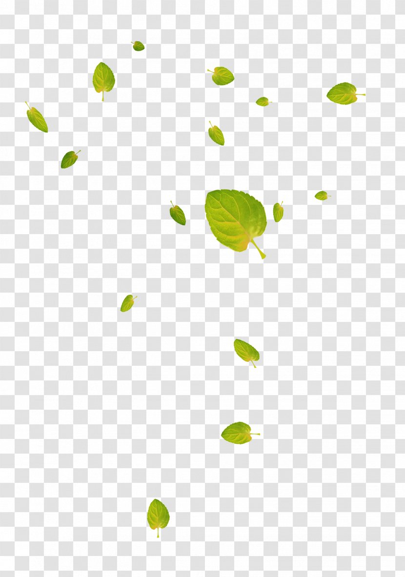Leaf Google Images Deciduous Download - Cartoon - Green And Fresh Leaves Floating Material Transparent PNG