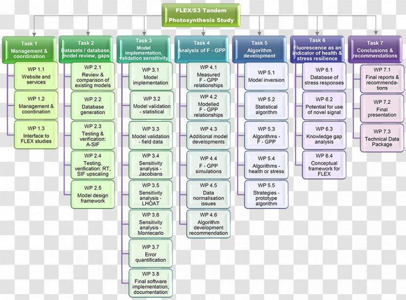 Organizational Chart Task Diagram Structure - Model Transparent PNG
