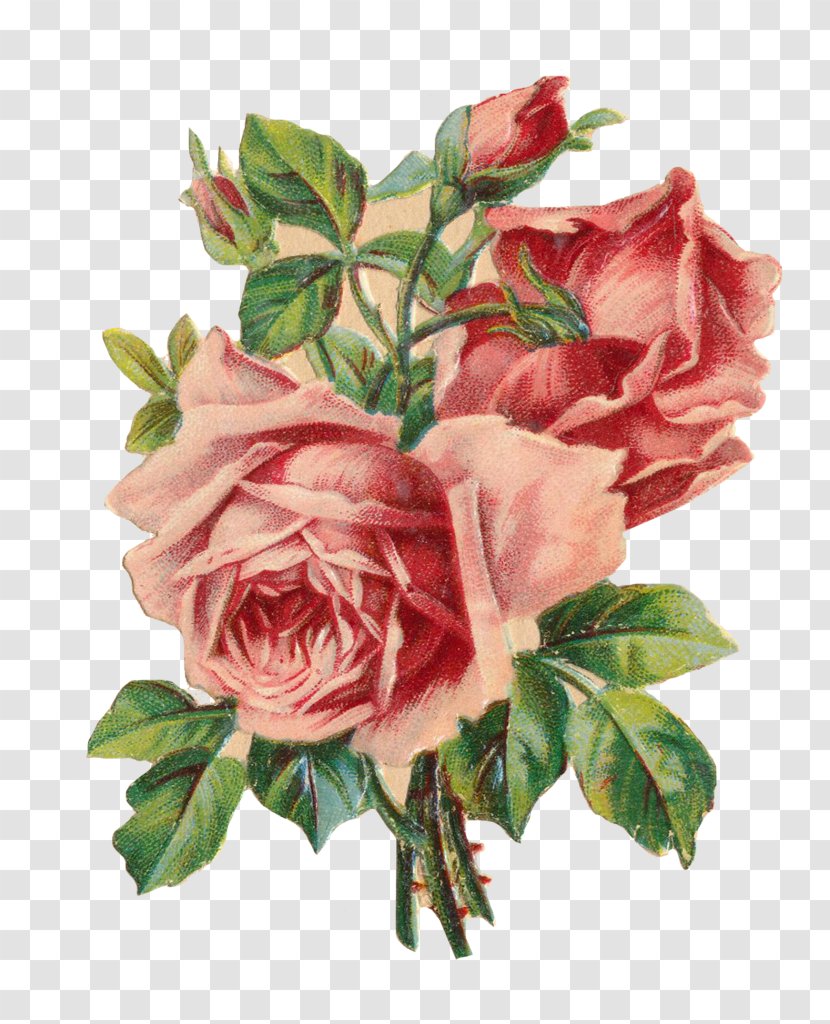 Paper Pin Flower Rose Clip Art - Bouquet - Watercolor Transparent PNG