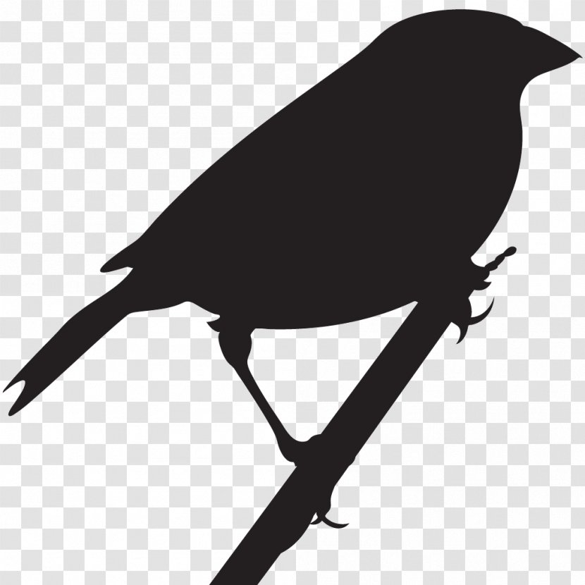 All About Birds American Crow Cornell Lab Of Ornithology New Caledonian - John James Audubon - Sparrow Transparent PNG
