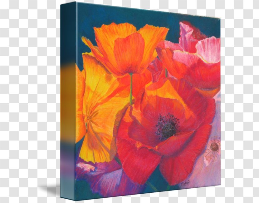 Still Life Photography Acrylic Paint Art - Resin - Watercolor Poppy Transparent PNG