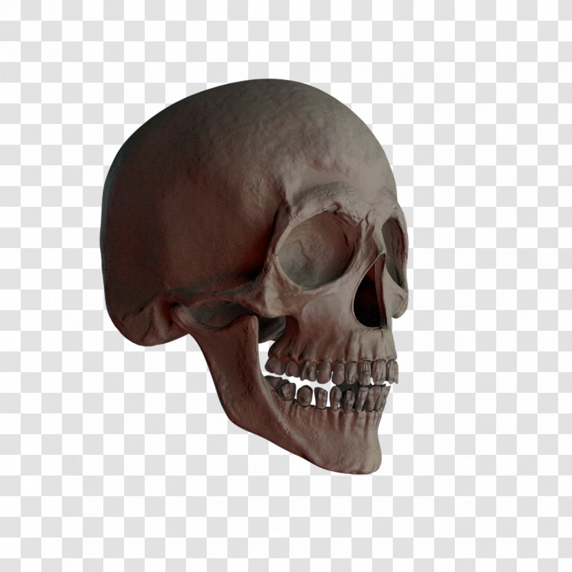 Skull And Crossbones - Totenkopf - Skulls Transparent PNG