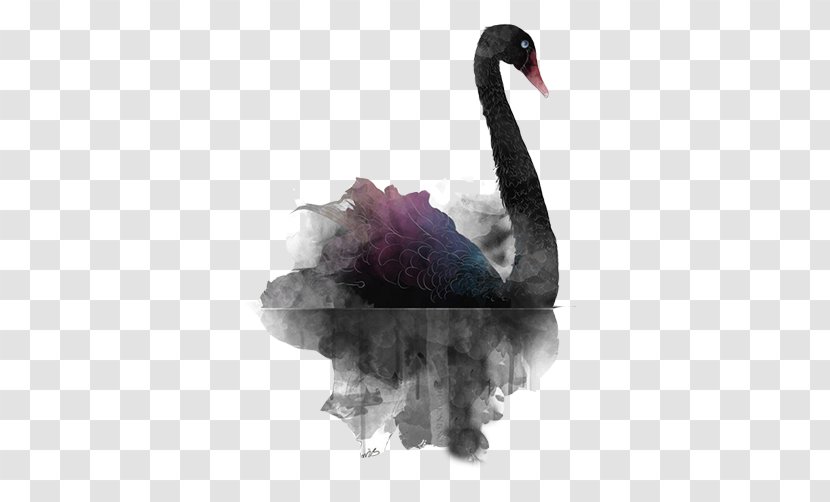Black Swan Theory - Swimming In Ink Transparent PNG
