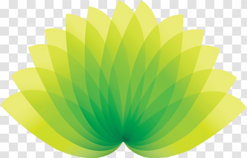 Leaf Shape Green Petal - Positioning Transparent PNG