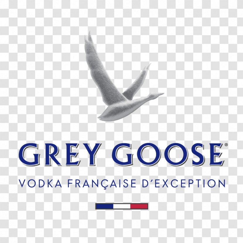 Grey Goose Vodka Distilled Beverage Martini Cocktail - Fizz - Experience Bar Transparent PNG