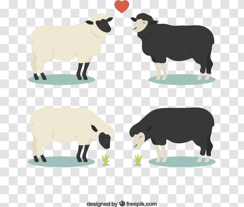Sheep Euclidean Vector - Livestock - Two Pairs Of Black And White Material Downloaded, Transparent PNG