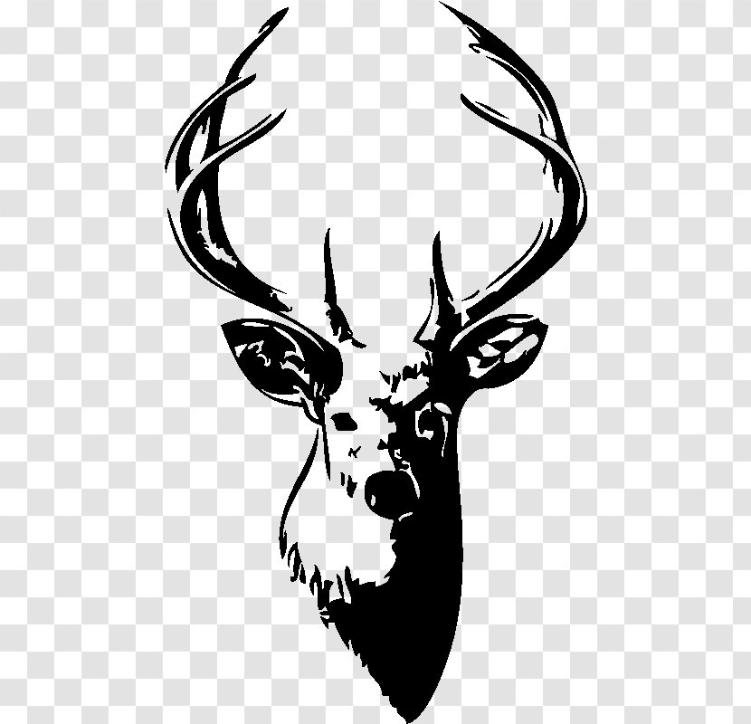 Deer Bacup Cricket Club T-shirt Drawing Art - Wildlife Transparent PNG