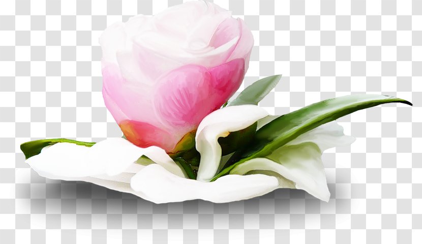 Flower Web Browser Clip Art - Cut Flowers Transparent PNG