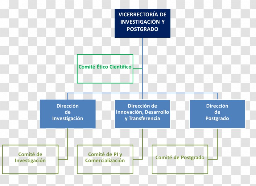 Organizational Chart Directorate Of Research And Graduate Studies, UAQ University Atacama - Postgraduate Education - Rip Transparent PNG