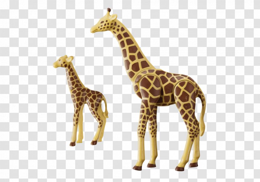 Calf Northern Giraffe Playmobil Child Zoo - Shopping Transparent PNG