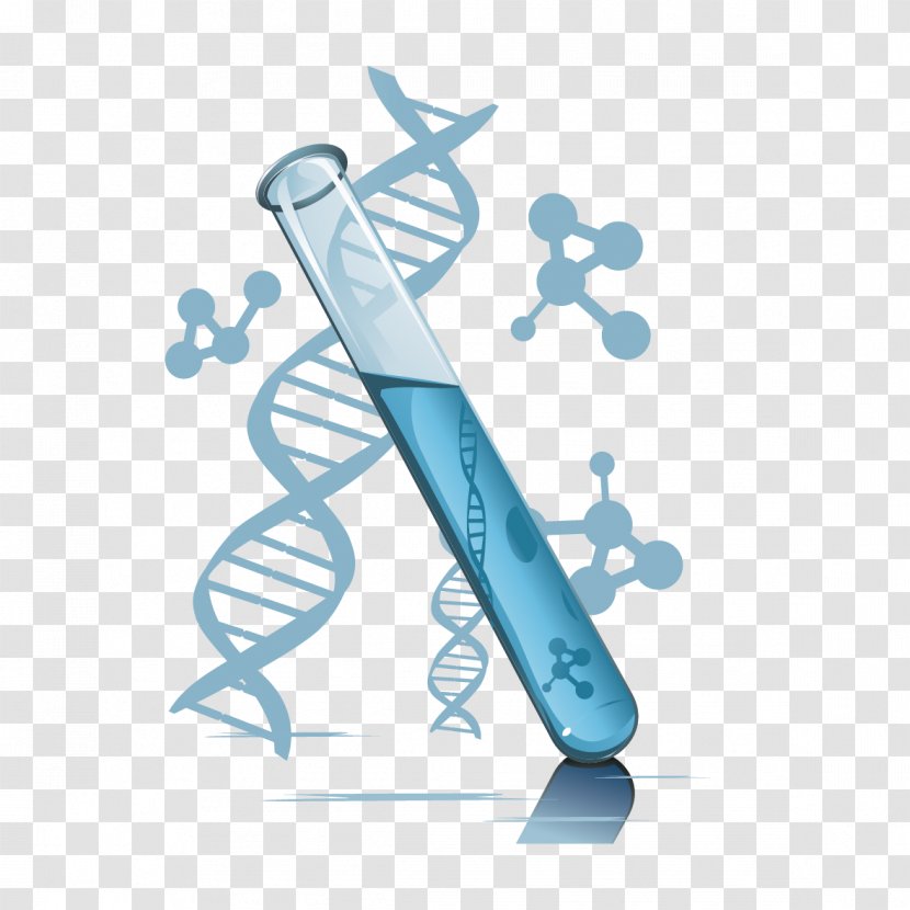 Test Tube DNA Paternity Testing Laboratory Chemical Element - Research - Vector Elements Transparent PNG