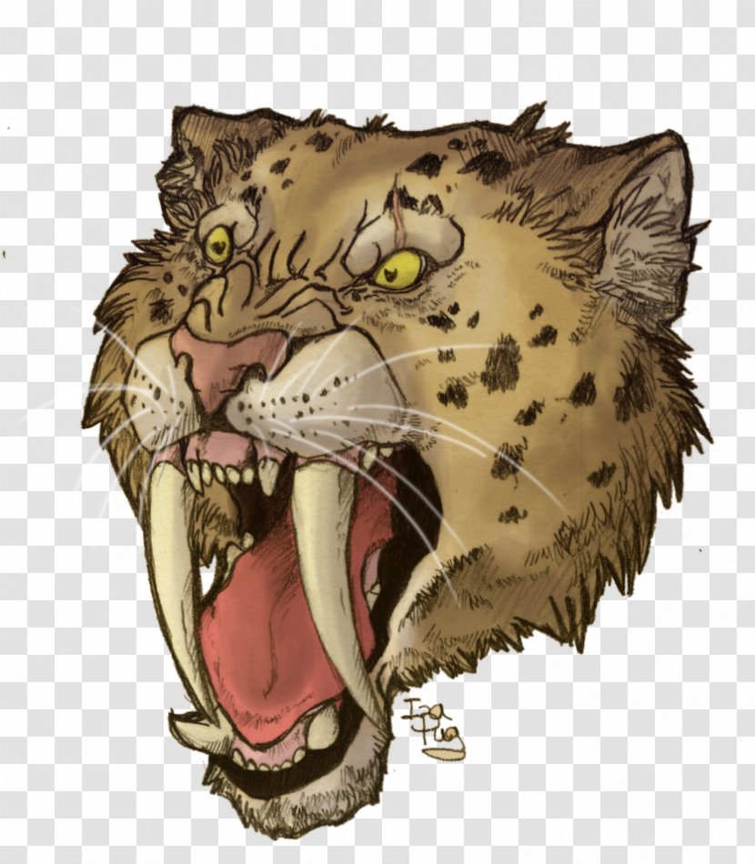 Cat Tiger Leopard Cheetah Mammal Transparent PNG