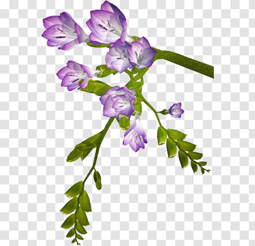 Flower Floral Design Clip Art - Violet Transparent PNG