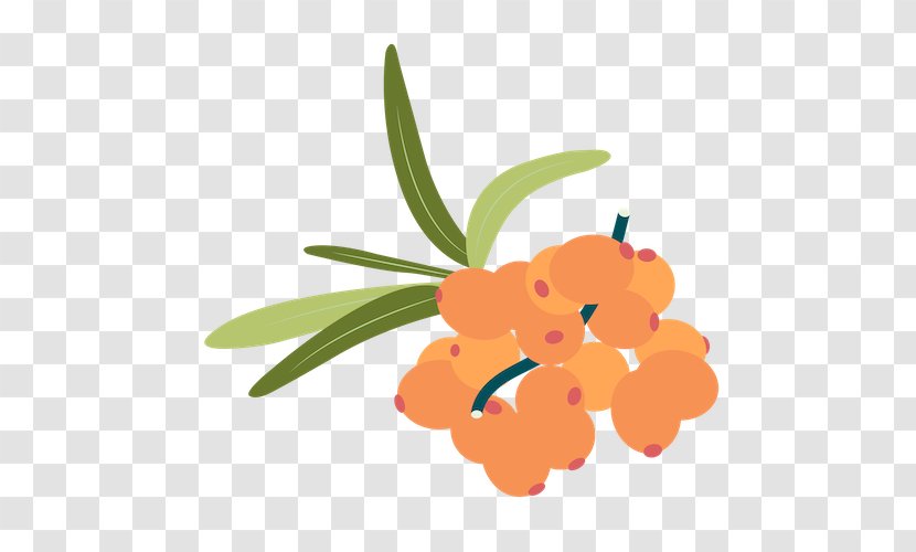 Floral Leaf - Logo - Iris Transparent PNG
