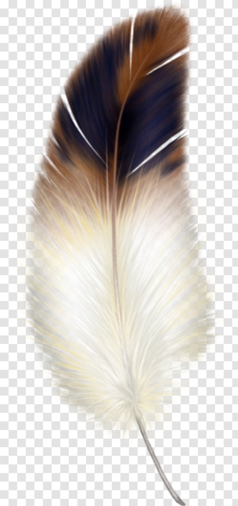 Bird Owl Feather Clip Art - Animal Transparent PNG