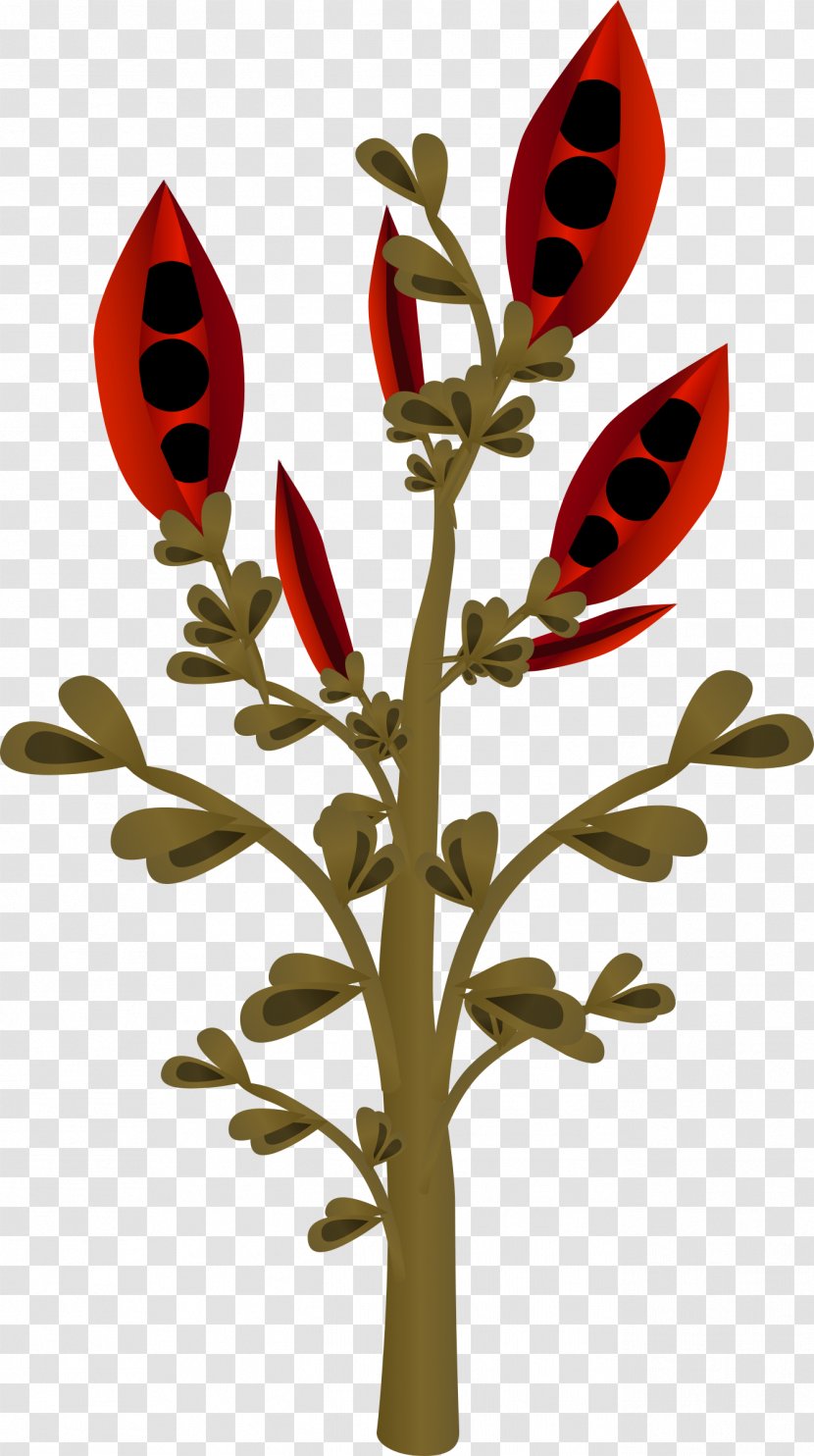 Cut Flowers Floral Design Leaf Plant Stem - Flower Transparent PNG