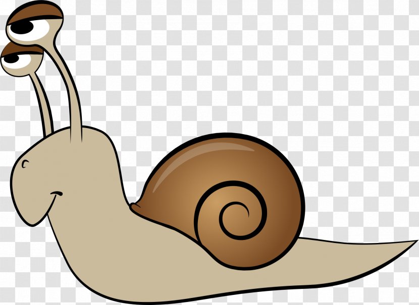 Snail Animation Clip Art - Slug - Snails Transparent PNG