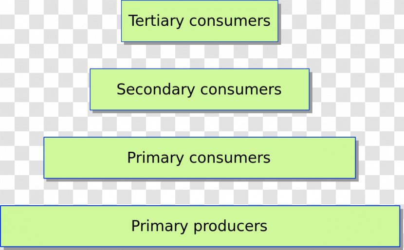 Trophic Level Ecological Pyramid Food Chain Biomass Ecology - Heterotroph Transparent PNG