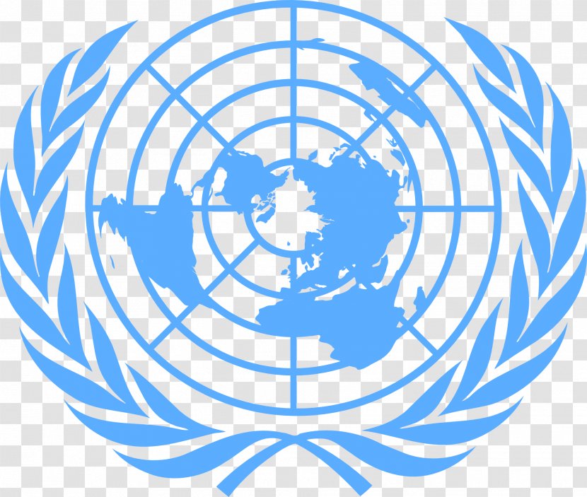 United Nations Secretariat Development Group Flag Of The Convention On Rights Persons With Disabilities - General Assembly - Organization Transparent PNG