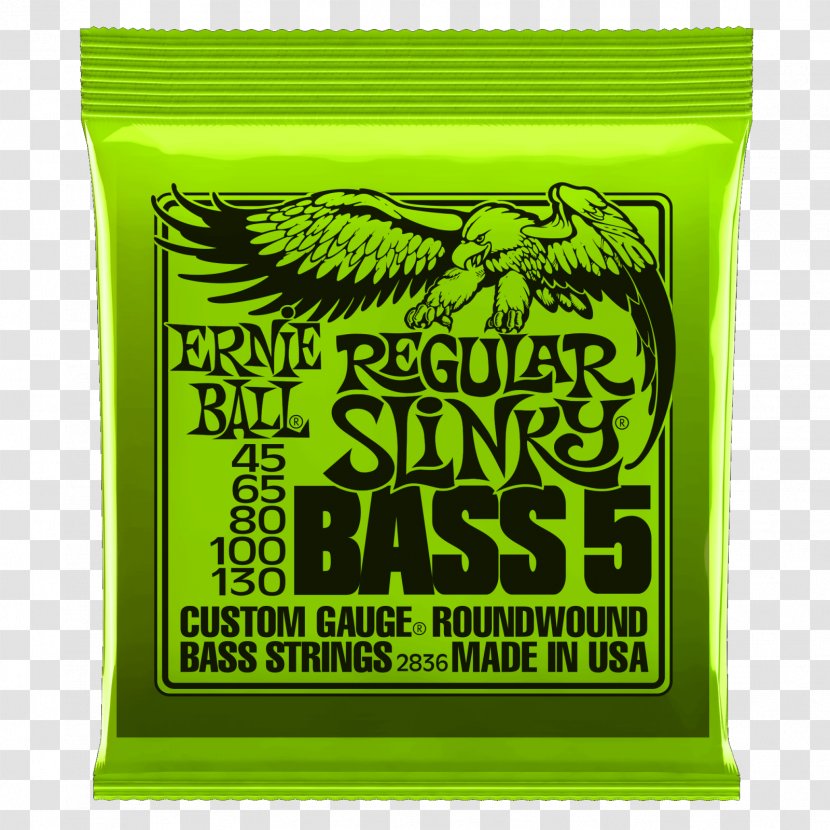 String Bass Guitar Double Ernie Ball Transparent PNG