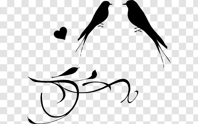 Lovebird Wedding Drawing Clip Art - Newlywed - Bird Branches Station Transparent PNG