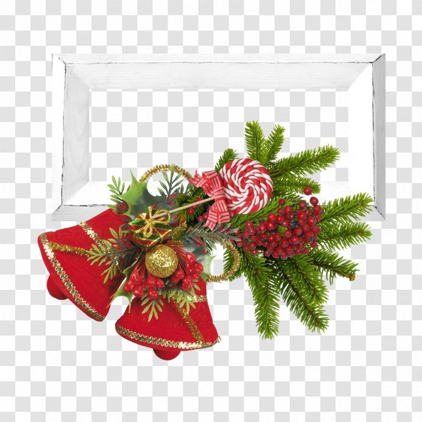 Christmas Ornament Picture Frames Decoration Image - Pine Family Transparent PNG