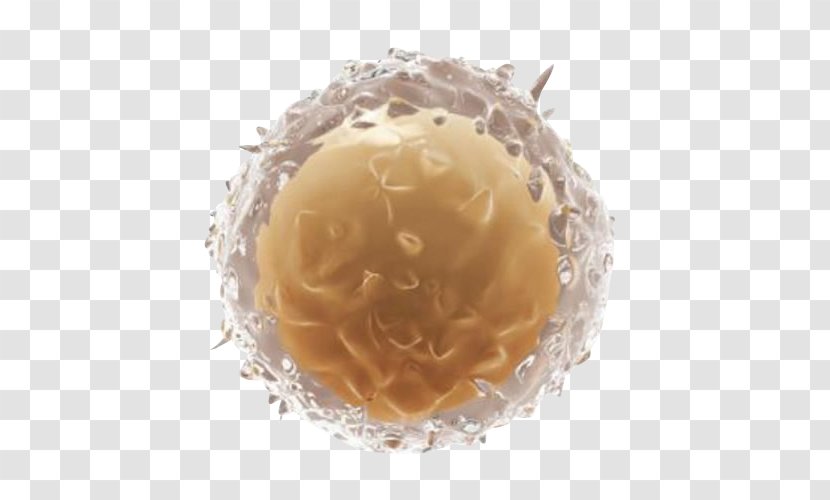 Praline Flavor - Langhans Giant Cell Transparent PNG