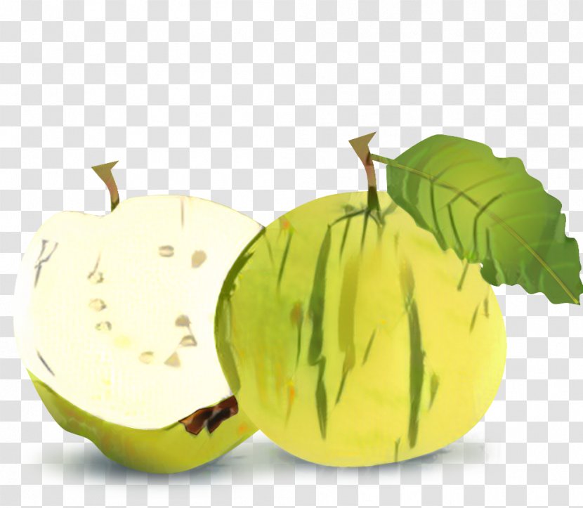 Apple Tree Drawing - Plant - Natural Foods Gooseberry Transparent PNG